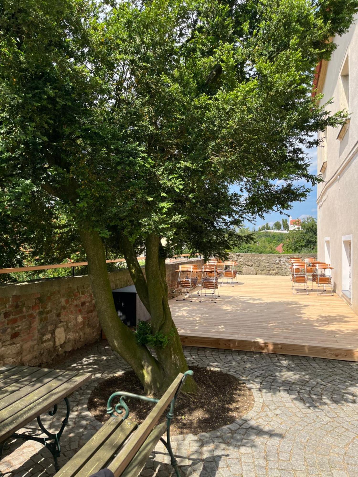 Schlosshotel Mailberg Екстериор снимка